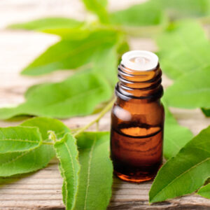 Eucalyptus Oil for ant control