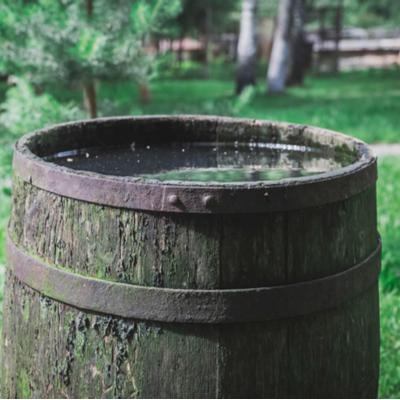 standing water in a barrel 