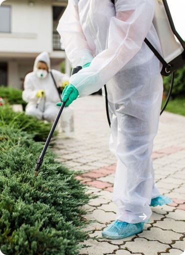 Residential Pest Control Services in GA
